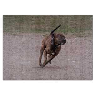 Amstaff Schneidebrett