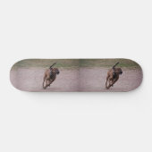 Amstaff Skateboard (Horizontal)