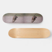 Amstaff Skateboard (Horizontal)
