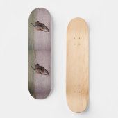 Amstaff Skateboard (Vorderseite)