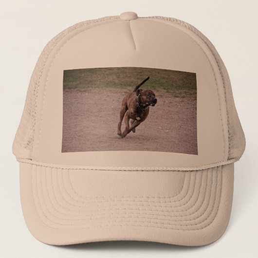 Amstaff Truckerkappe (Vorderseite)