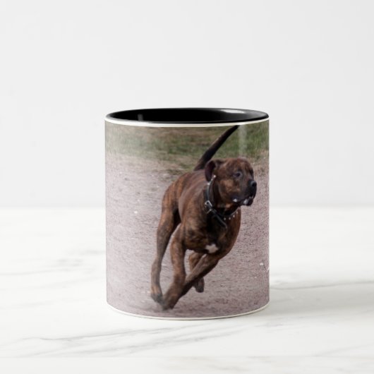 Amstaff Zweifarbige Tasse (Mittel)