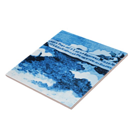 Amsterdam-Antike versendet Delftware Vintagen Fliese (Seite)