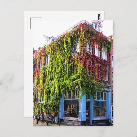 Amsterdam Autumn Vines Architecture Postkarte (Vorne/Hinten)