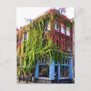 Amsterdam Autumn Vines Architecture Postkarte