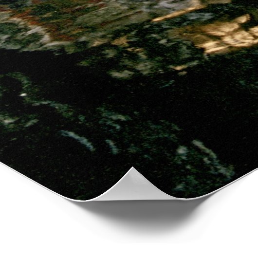 Amsterdam Canal Poster (Ecke)