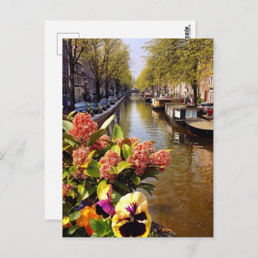 Amsterdam Canal Sunny Fall Day Bloemgracht Postkarte (Vorne/Hinten)