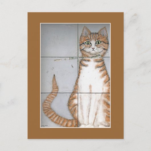 Amsterdam Cat Postcard Postkarte (Vorderseite)