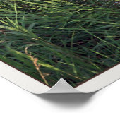 Amsterdam - De 1100 Roe Windmill Poster (Ecke)