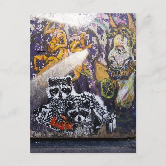 Amsterdam Graffiti Street Art Nr. 1 - Raccoon Postkarte (Vorderseite)