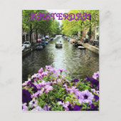 Amsterdam Summer Canal Postkarte (Vorderseite)