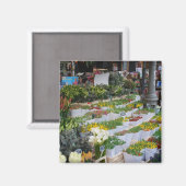 Amsterdam Tulip Market Magnet (Vorderseite/Rückseite)