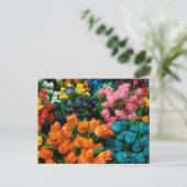 Amsterdam Tulips Postkarte (Stehend Vorderseite)