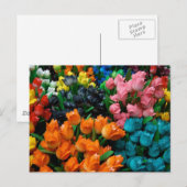 Amsterdam Tulips Postkarte (Vorne/Hinten)