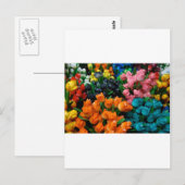 Amsterdam Tulips Postkarte (Vorne/Hinten)