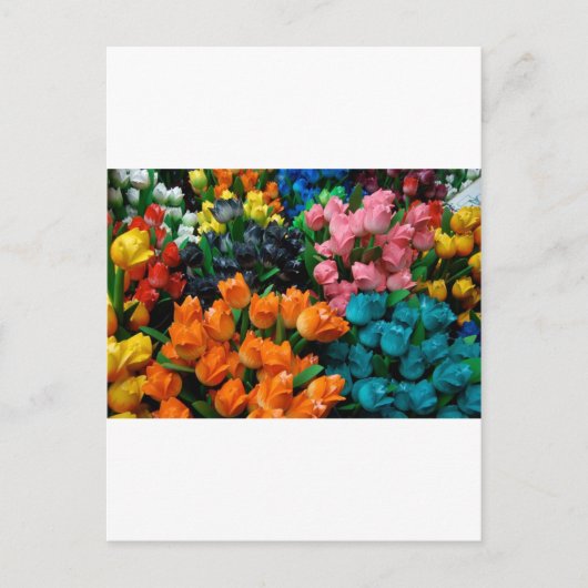 Amsterdam Tulips Postkarte (Vorderseite)