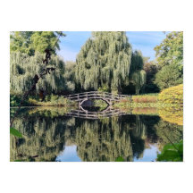 Amsterdam Weiden Teich