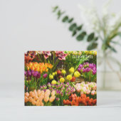 Amsterdamer Blume Postkarte (Stehend Vorderseite)