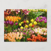 Amsterdamer Blume Postkarte (Vorderseite)