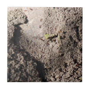 Amts Go Marching Fliese