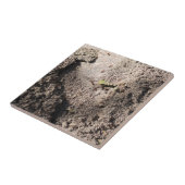 Amts Go Marching Fliese (Seite)