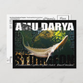 Amu Darya Sturgeon Postcard Postkarte (Vorne/Hinten)