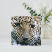 Amur-Leopard-Einladungen Einladung (Stehend Vorderseite)