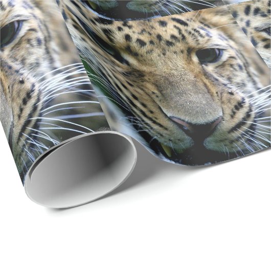 Amur-Leopard Geschenkpapier (Rolleneckpunkt)