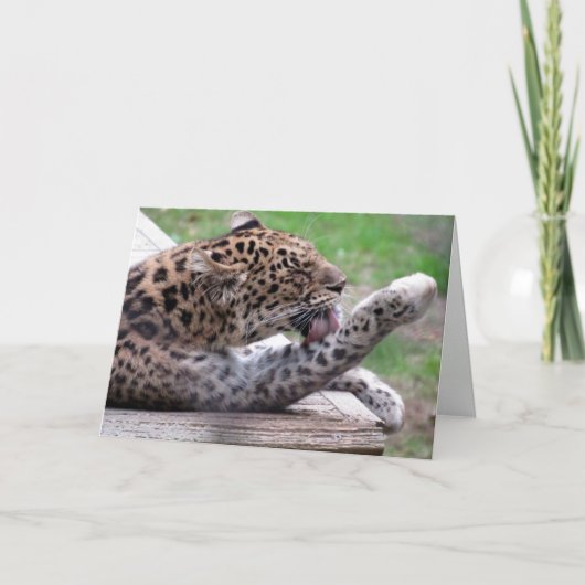 Amur Leopard Grußkarte Karte (Vorderseite)