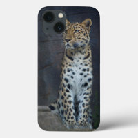 Amur-Leopard iPhone 6 Fall