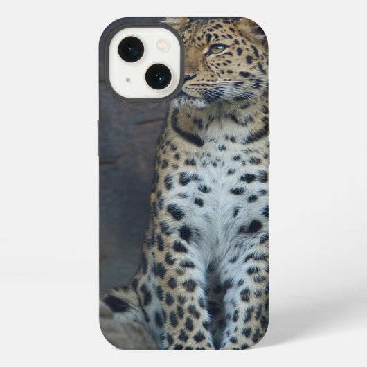 Amur-Leopard iPhone 6 Fall Hülle (Rückseite)