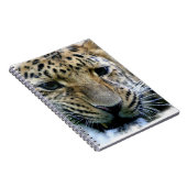 Amur-Leopard-Notizbuch Notizblock (Rechte Seite)