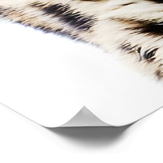 Amur Leopard Poster (Ecke)