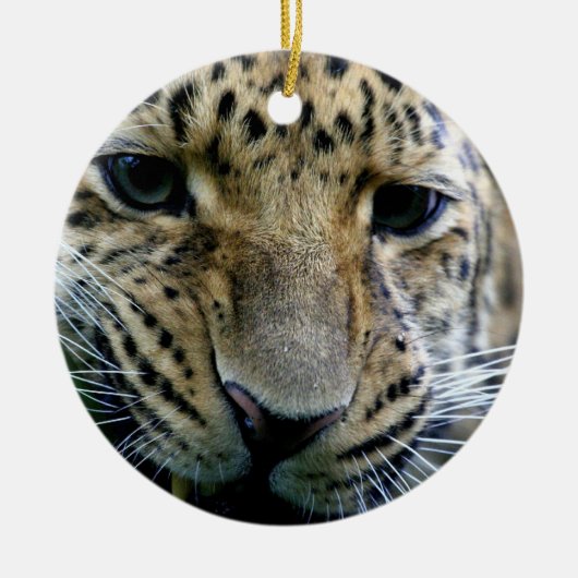 Amur-Leopard-Verzierungen Keramikornament (Vorne)