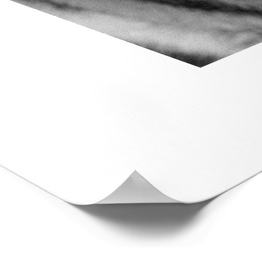 Amur Tiger #1 Poster (Ecke)