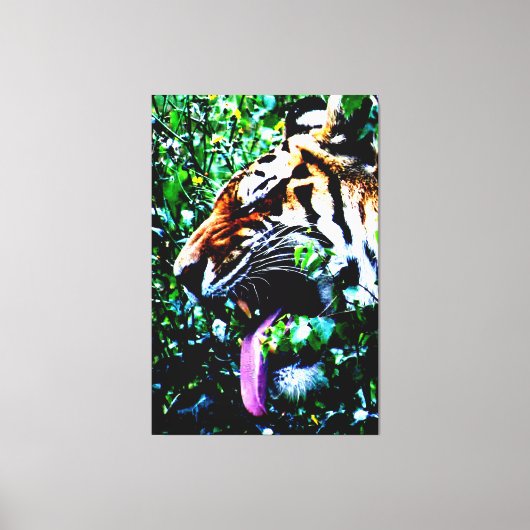 Amur Tiger 40x60 (100x150cm) waccna Leinwanddruck (Vorderseite)