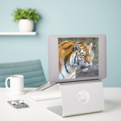 Amur tiger aufkleber (Laptop auf Schreibtisch)