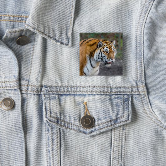 Amur tiger button (Beispiel)