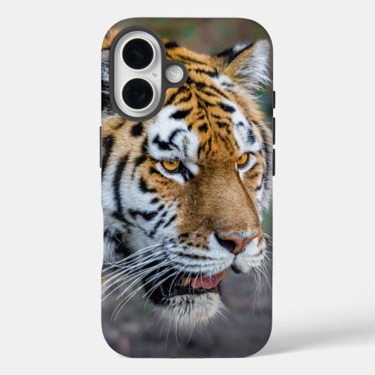 Amur tiger Case-Mate iPhone hülle (Rückseite)
