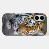 Amur tiger Case-Mate iPhone hülle (Rückseite (Horizontal))