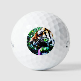Amur Tiger css gbcna Golfball
