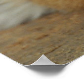 Amur Tiger Cub Poster (Ecke)