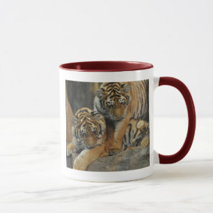Amur-Tiger CUB Tasse