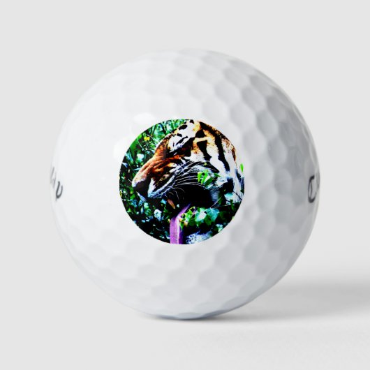 Amur Tiger cwb gbcna Golfball (Vorderseite)