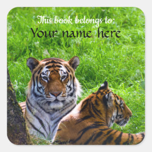 Amur-Tiger "Dieses Buch gehört" Aufkleber
