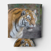 Amur tiger dosenkühler (Vorderseite)