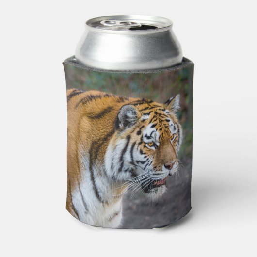 Amur tiger dosenkühler (Kanne Rückseite)