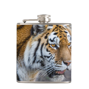 Amur tiger flachmann