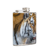 Amur tiger flachmann (Rechts)