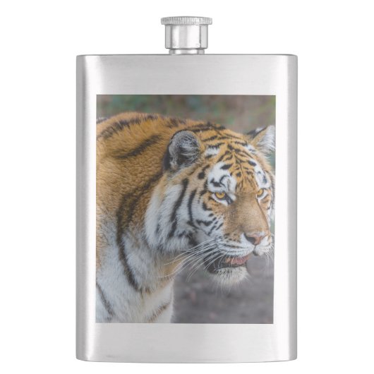 Amur tiger flachmann (Vorderseite)